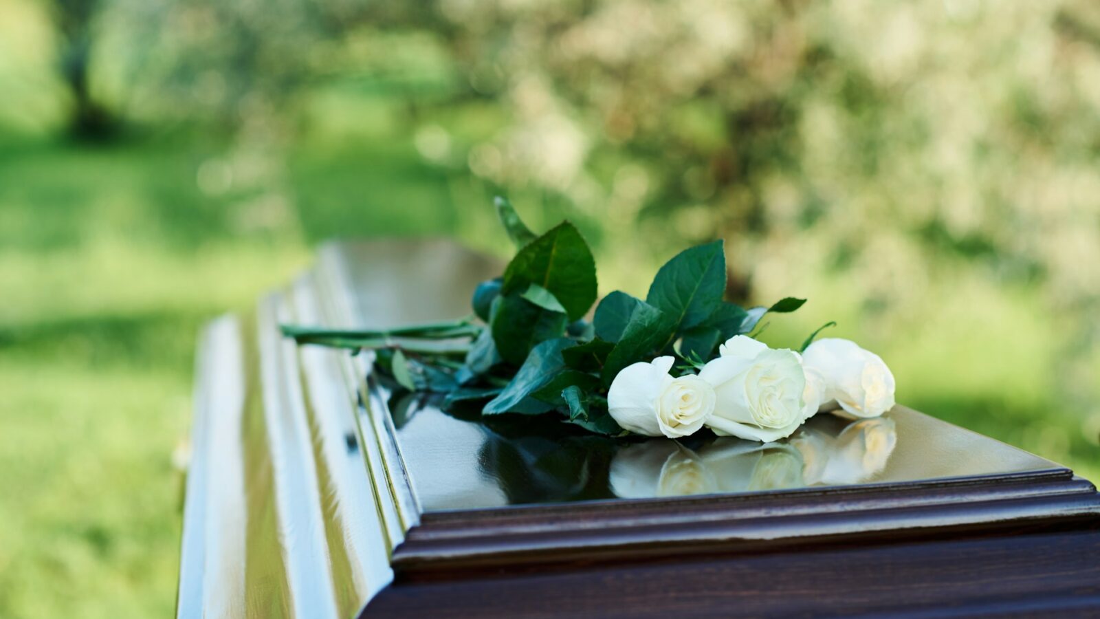 Three white roses are placed on a coffin with blurred greenery in the background, representing spousal support claims against estates.