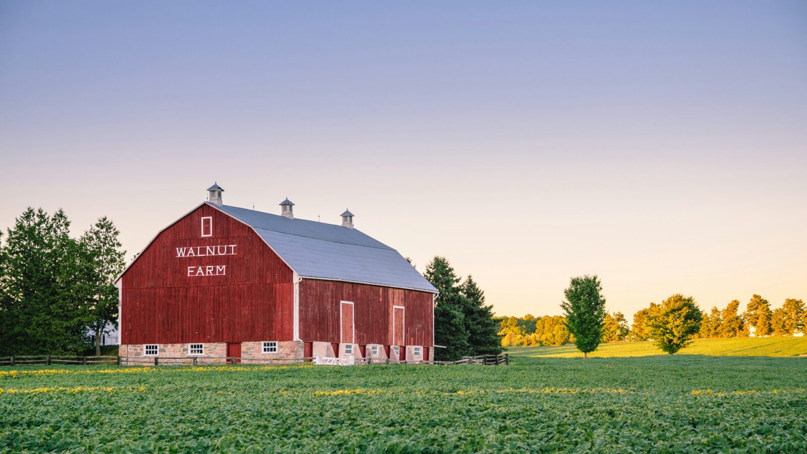 A red barn surrounded by green fields with trees to the side and behind, representing conditional gifts and estate disputes.